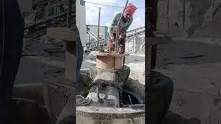 install puzzulona cone spider bush #viral #trending #youtubeshorts #viralvideo @technicalali95