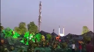 January 19, 2026 jungle carnival 