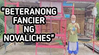 BETERANONG FANCIER NG NOVALICHES 