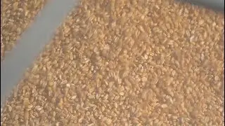 Trade dispute with China sows fear among US soybean farmers