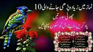 Quran Pak Ki Last 10 Surah | Short Surahs for Namaz | Dil Ko Sukoon Denay Wali Tilawat#islamicvideo