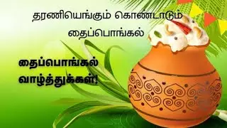 ஹாய் பிரண்ட்ஸ் இனிய பொங்கல் வாழ்த்துக்கள் @J.Paulswinton-v6k397 #shorts #video 🎵🪔🍚🌅🙏🤝🔥🎆📽️🎥🎟️#tamil .