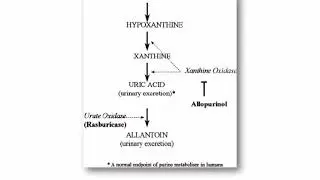 Management of Tumor Lysis Syndrome and Hypercalcemia of Malignancy