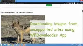 Manual link search -  Images option (WFDownloader App)