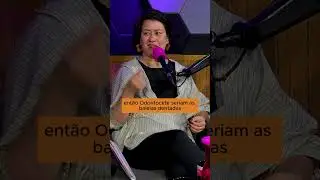 BALEIAS ESCUTAM!