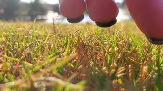 Enjoying Nature With A Giantess ASMR
