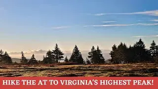 Spruce-fir Forests of the Southern Appalachian's: unique endangered ecosystems. Mount Rogers, VA