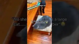 &laquo;Это последнее, что ей нужно&hellip; 🤓☝️&raquo;