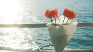 Free Wedding Background Music | No Copyright Romantic Music | Royalty Free Wedding Song