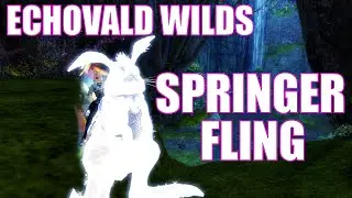 GW2 - Springer Fling - The Echovald Wilds - Achievement Guide - Guild Wars 2 End of Dragons