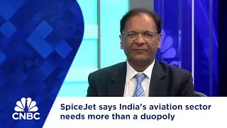 SpiceJet says India's aviation sector needs more than a duopoly