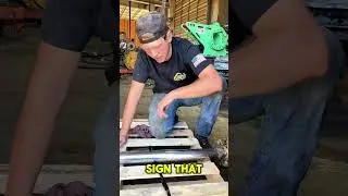 Hydraulic cylinder rod damage