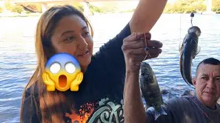 Pesca de  guapotes con el anzuelo ,En r&iacute;o l&aacute;mpa se puso buena la marea😱