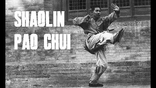 SHAOLIN PAO QUAN CANNON FIST (PART 1) 少林炮拳