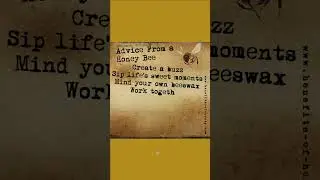 25 Bee Quotes That Set You Thinking About Life
