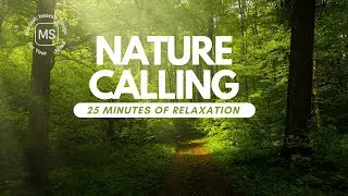 25 Minutes of Nature Calling 🌿 | Find Peace Within 
