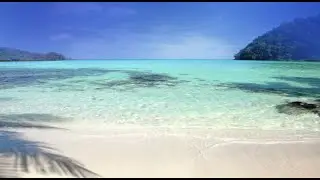 Luxury Calm | 20 Minutes | Gentle Wave Visual Calm