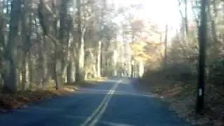 Guinea Road
