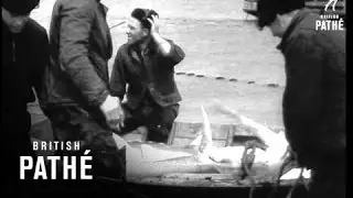 Spring Fishing On River Don (1957)