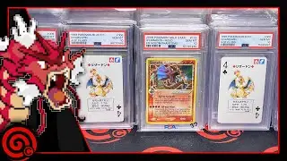 HOW NOW BROWN COW - LIVE POKEMON CARD SHOP