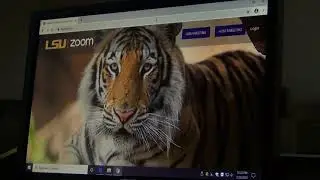 Quickstart  Zoom Hybrid teaching