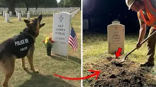 [Full Story] K9 Kept Barking at Ex Handler&rsquo;s Grave, They Dug it Up and Turned Pale&hellip;