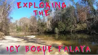 Exploring The Icy Bogue Falaya(Wayside Park)