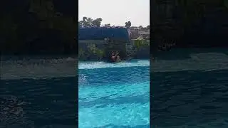 asper pool