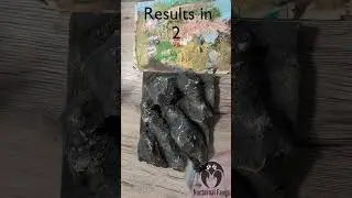 This Rock Wall Changed the Tarantula Enclosure
