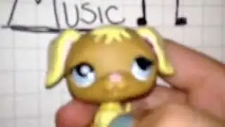 Lps contest (open)