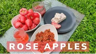4 Rose Apple recipes