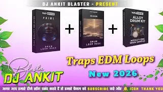 Edm Loops Pack | Edm Drum Loops Pcak | Edm Trap Loops Pack | Dj Ankit Blaster