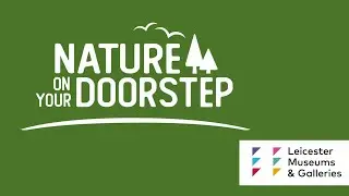 Nature on Your Doorstep - Leicester Museums & Galleries