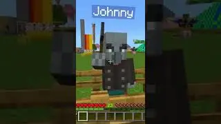 SECRET MINECRAFT TAGS!!!! #minecraft #secret