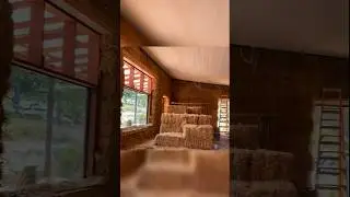 घास से बने घर | Straw Bale Houses #shorts #trending #youtubeshorts