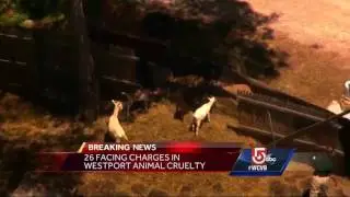 27 indicted in Westport animal cruelty case