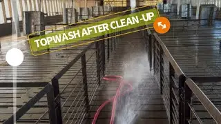 CLEANING THE PIG HOUSE STEP 2| TOPWASH AFTER CLEAN-UP #hogfarm #pigfarm #thegardenfarmlife