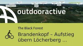 Brandenkopf &ndash; Aufstieg &uuml;bern L&ouml;cherberg loop from Oppenau