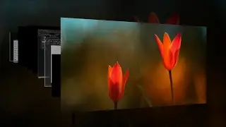 WinFlip - Aero Flip 3D в Windows 10