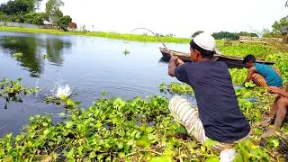 Hook Fishing - Traditional Hook Fishing - MR Fishing Life (Part-152)