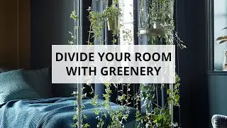 Home-Ventures - Divide your room with greenery