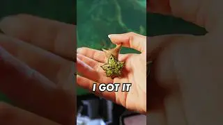 I WANT IT... I MAKE IT
