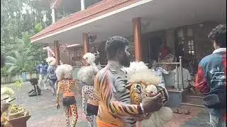 Tiger dance 