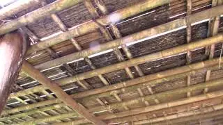 Different styles of bamboo houses