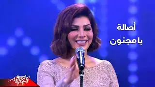 Assala - Ya Magnoon | Concert - اصالة - يا مجنون | حفلة