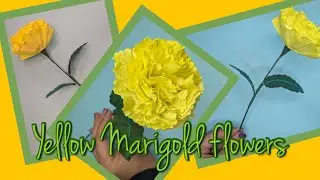 Real yellow marigold flower of tissue paper