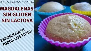Cómo hacer MUFFINS SIN GLUTEN y SIN LACTOSA | MAGDALENAS de MAICENA