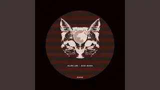 Acid Mood (Original Mix)
