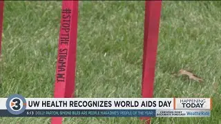 Ribbons on Bascom Hill mark 33rd annual World AIDS Day
