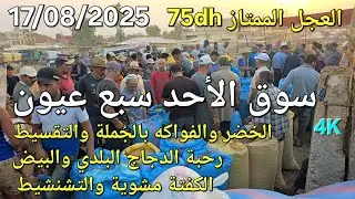 أثمنة الدجاج واللحوم والخضر والحبوب سوق الأحد سبع عيون واد اجديدة اليوم 17/08/2025
